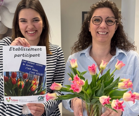 Des tulipes contre le cancer