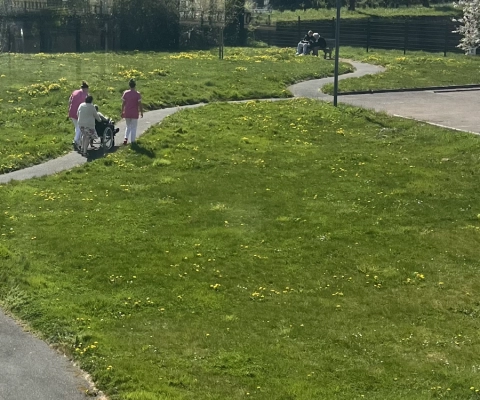 Les sorties dans le parc de la résidence