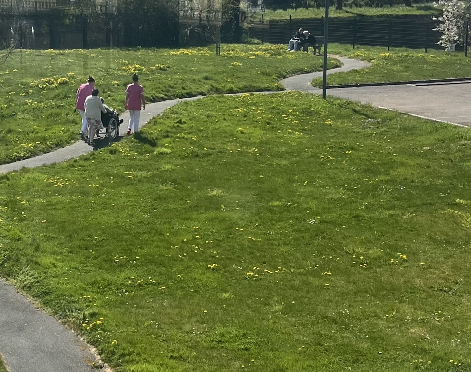Les sorties dans le parc de la résidence
