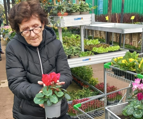 La sortie pour acheter des fleurs