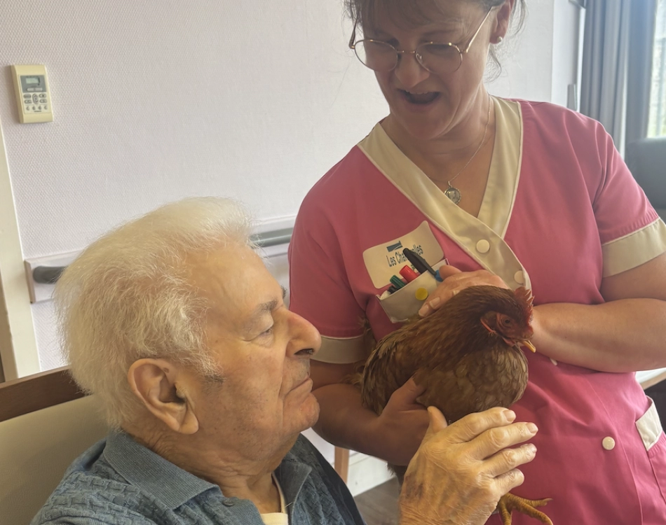 Une poule à l'EHPAD