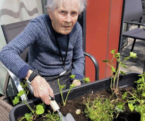 L'activité jardinage