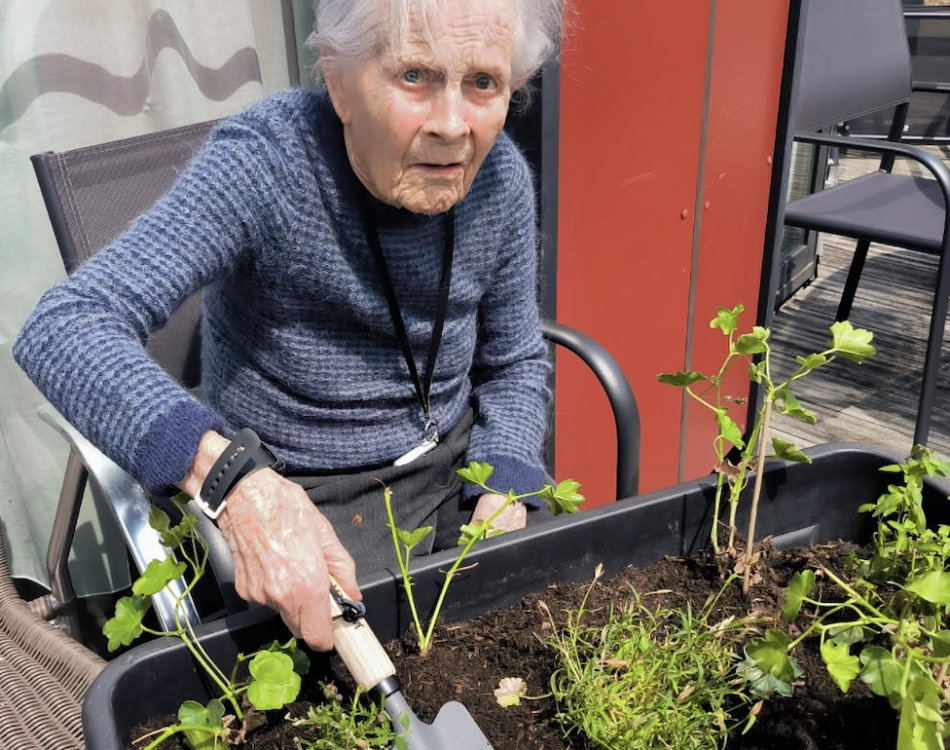 L'activité jardinage
