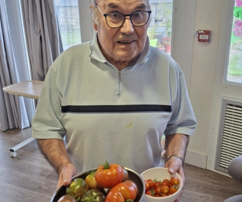La cueillette des tomates : une activité qui fait du bien