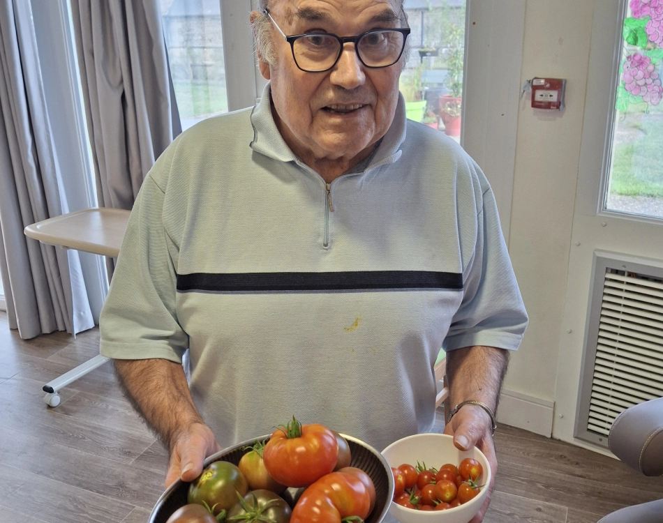 La cueillette des tomates : une activité qui fait du bien
