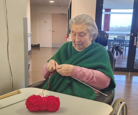 L'activité Tricot